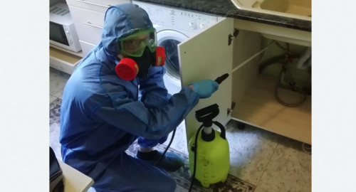 Уничтожение муравьев в квартире. Улица Горчакова