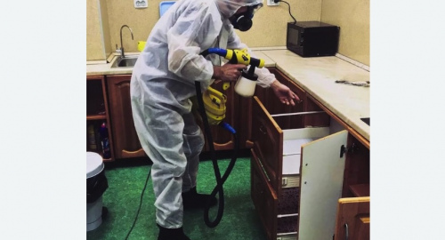 Дезинсекция квартиры. Улица Горчакова