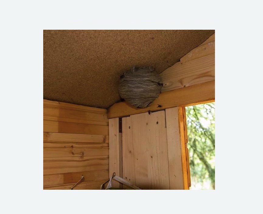 Обработка от ос Улица Горчакова метро Москвы Обработка от ос