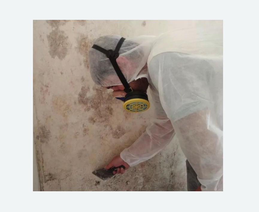 Обработка стен от плесени Улица Горчакова метро Москвы