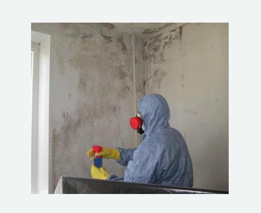 Удаление плесени в квартире Улица Горчакова метро Москвы