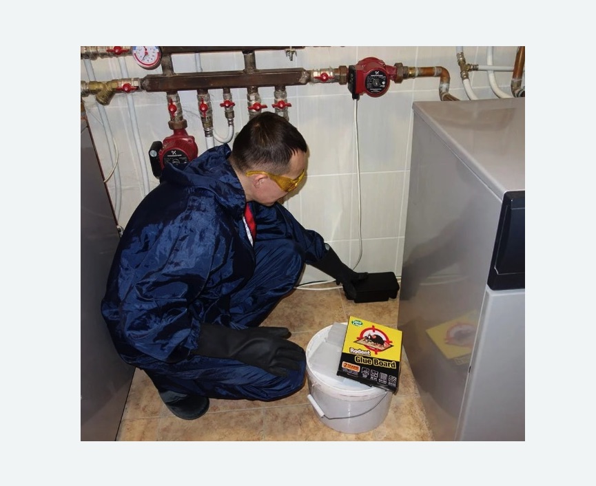 Уничтожение крыс Улица Горчакова метро Москвы